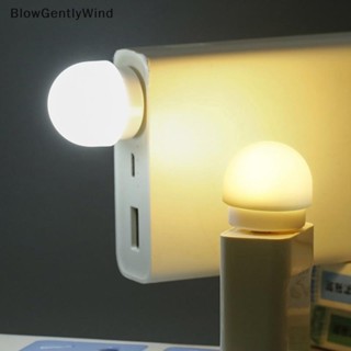 Blowgentlywind โคมไฟ LED ทรงกลม ขนาดเล็ก ชาร์จ USB สําหรับอ่านหนังสือ