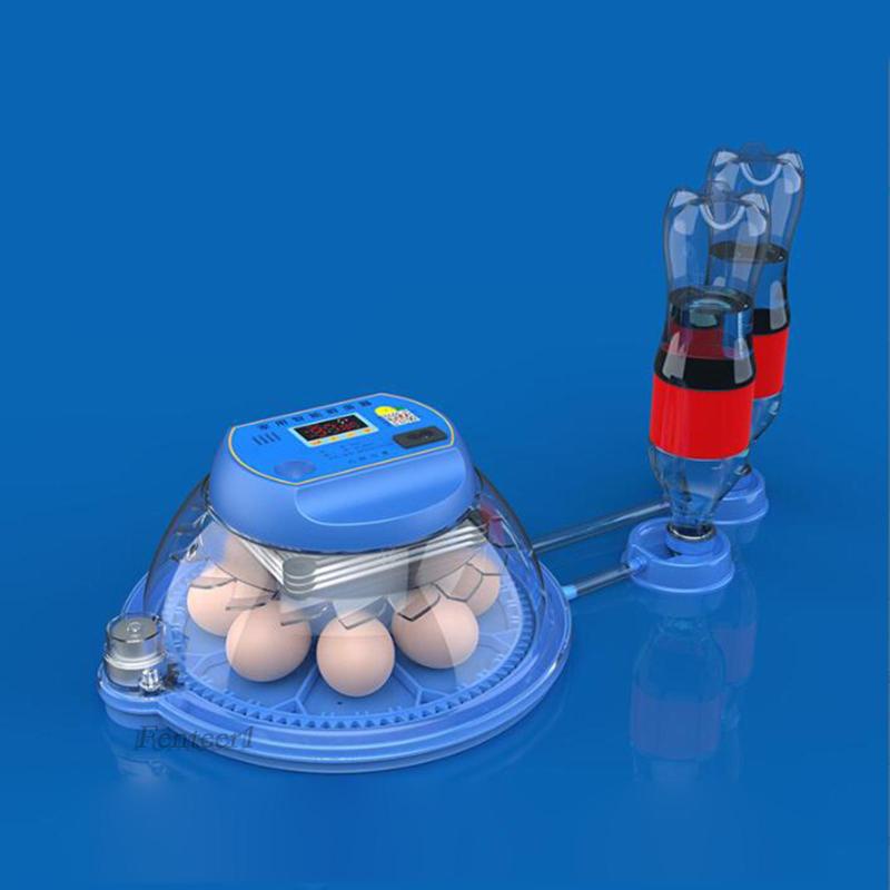 fenteer1-อุปกรณ์ฟักไข่ไก่-แบบถอดออกได้-สําหรับฟักไข่ไก่