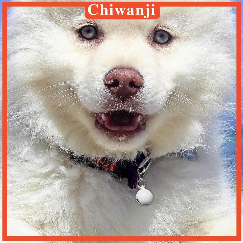 chiwanji-ปลอกคอกระดิ่ง-ขนาดเล็ก-สําหรับสัตว์เลี้ยง-สุนัข-แมว-10-ชิ้น