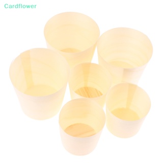 &lt;Cardflower&gt; ถ้วยใส่เครื่องดื่ม ชา กาแฟ 10 ชิ้น