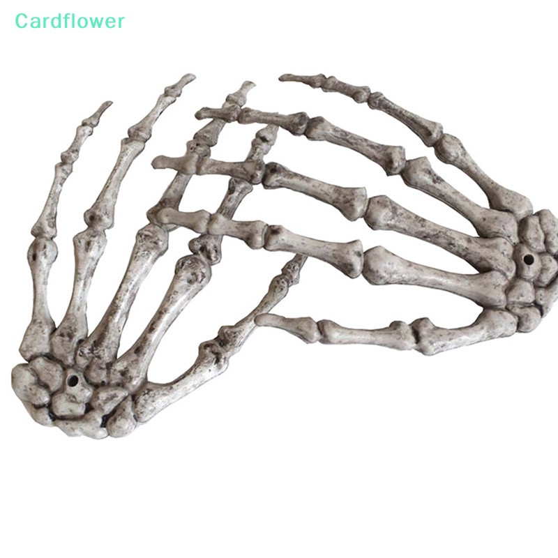 lt-cardflower-gt-พร็อพหัวกะโหลกผี-สําหรับตกแต่งปาร์ตี้ฮาโลวีน