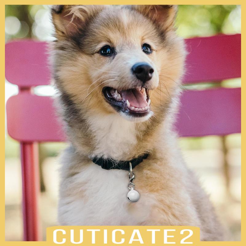 cuticate2-ปลอกคอกระดิ่ง-ขนาดเล็ก-สําหรับสัตว์เลี้ยง-สุนัข-แมว-10-ชิ้น