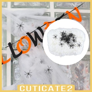 [Cuticate2] เว็บผ้ายืด สีขาว สําหรับตกแต่งปาร์ตี้ฮาโลวีน