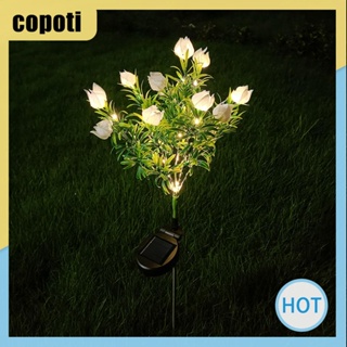 Copoti IP65 ไฟสวน กันน้ํา อายุการใช้งานยาวนานถึง 8 ชั่วโมง ไฟ LED สวน (สีวอร์ม / สี สําหรับบ้าน