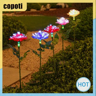 Copoti โคมไฟ LED พลังงานแสงอาทิตย์ กันน้ํา IP65 สําหรับตกแต่งสวน ทางเดิน บ้าน