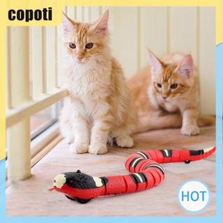 Copoti ของเล่นงูเซนเซอร์อัจฉริยะ ชาร์จ USB สําหรับสัตว์เลี้ยง สุนัข แมว ในบ้าน