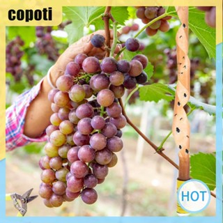 Copoti เทปกาวดักยุง และแมลงวัน ปลอดสารพิษ สําหรับบ้าน