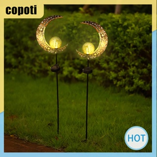 Copoti โคมไฟ พลังงานแสงอาทิตย์ 600mAh สําหรับตกแต่งทางเดิน สวน บ้าน