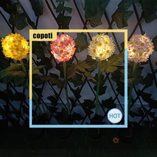 Copoti โคมไฟ Led 8 ดวง พลังงานแสงอาทิตย์ กันน้ํา ลายดอกเบญจมาศ สําหรับตกแต่งบ้าน สวน