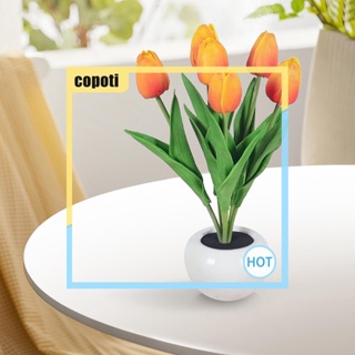 Copoti โคมไฟ LED รูปดอกทิวลิป ใช้แบตเตอรี่ สําหรับตกแต่งบ้าน