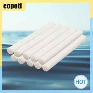 Copoti แท่งฟองน้ํากรองความชื้น 10 ชิ้น แบบเปลี่ยน สําหรับบ้าน ออฟฟิศ