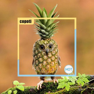 Copoti รูปปั้นนกฮูก สับปะรดเรซิ่น กันน้ํา สําหรับตกแต่งบ้าน สวน