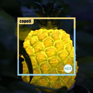 Copoti โคมไฟเรซิ่น รูปสับปะรด พลังงานแสงอาทิตย์ IP55 สําหรับตกแต่งบ้าน สวน