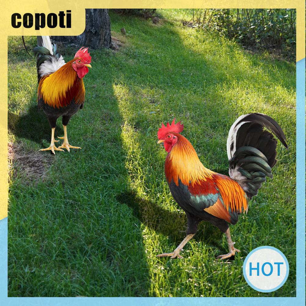 copoti-รูปปั้นไก่อะคริลิค-สําหรับตกแต่งบ้าน-สวน-ทางเดิน-ทางเดิน-2-ชิ้น