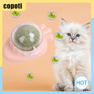 Copoti ของเล่นแครอท แคทนิป ลูกบอลเลีย เพื่อสุขภาพ สําหรับบ้าน