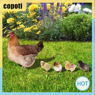 Copoti ป้ายอะคริลิค รูปปั้นไก่ 2D สองด้าน สําหรับบ้าน และสวน