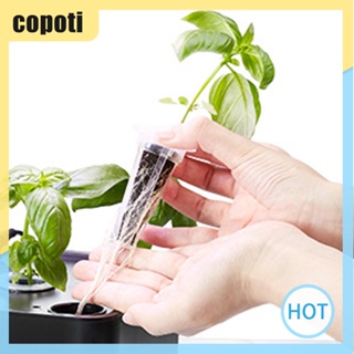 Copoti ชุดฟองน้ําไฮโดรโปนิก ปลูกต้นกล้า สําหรับเพาะเมล็ด 166 ชิ้น