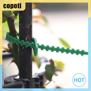 Copoti สายรัดต้นไม้ พลาสติก ล็อกในตัว ปรับได้ ใช้ซ้ําได้ สําหรับบ้าน 100 ชิ้น