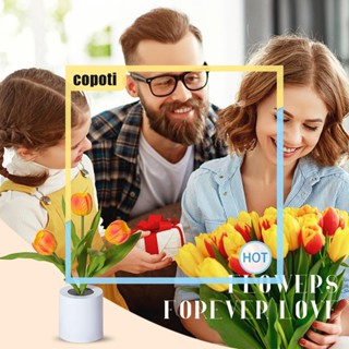 Copoti โคมไฟดอกทิวลิปประดิษฐ์ LED 2 ระดับความสว่าง สําหรับตกแต่งบ้าน ปาร์ตี้วันเกิด