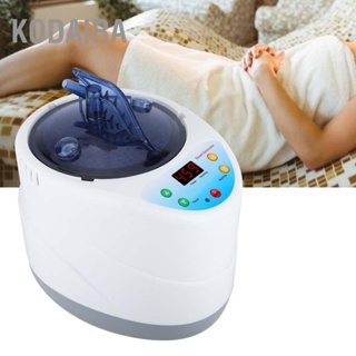 KODAIRA 4L เครื่องรมควันอัจฉริยะรีโมทคอนโทรลบ้านซาวน่าเต็นท์ Steamer Spa Steam Generator