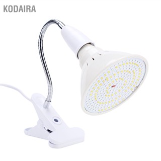 KODAIRA 3 สี LED Skin Rejuvenation Light Professional Therapy สิวกำจัดริ้วรอย Face Body Care