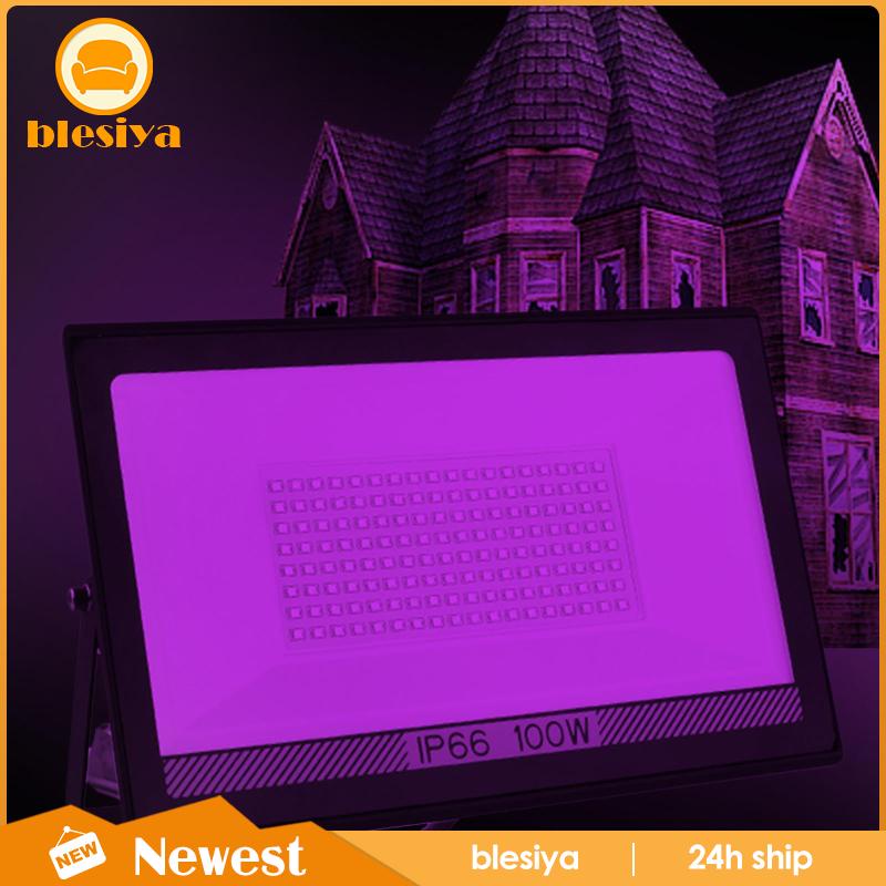 blesiya-ไฟฟลัดไลท์-led-100w-สําหรับโรงรถ-กลางแจ้ง-ในร่ม-สวนหลังบ้าน