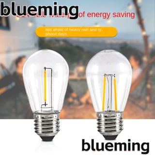Blueming2 หลอดไฟ LED 1W 2W E27