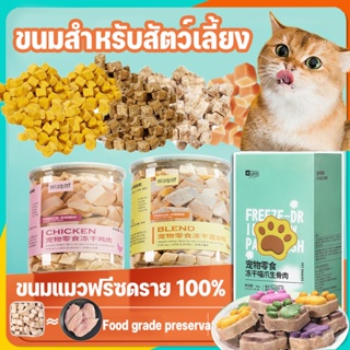 🐕COD🐱 ขนมแมว ​Freeze Dried ขนมแมว อกไก่ อกเป็ด แซลม่อน ทำจากเนื้อสัตว์แท้ 100% ปลอดภัย สุขภาพดี