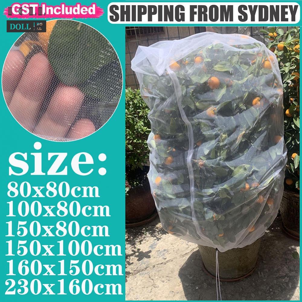 new-convenient-and-effective-plant-crop-net-keep-your-garden-healthy-and-safe