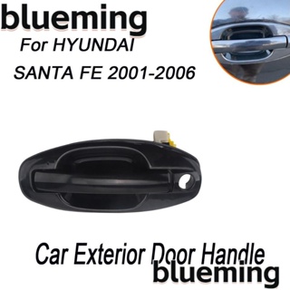 Blueming2 มือจับประตูรถยนต์ ด้านนอก ติดตั้งง่าย อุปกรณ์เสริม สําหรับ SANTA FE 2001-2006