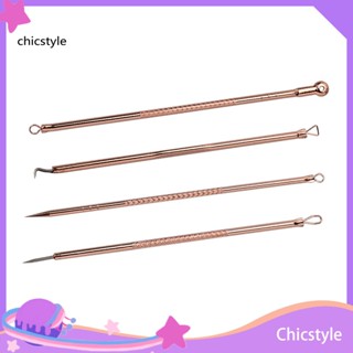 Chicstyle เข็มกําจัดสิวเสี้ยน สิวหัวดํา โลหะ ปลายคู่ เครื่องมือสําหรับสิวเสี้ยน 4 ชิ้น/ชุด