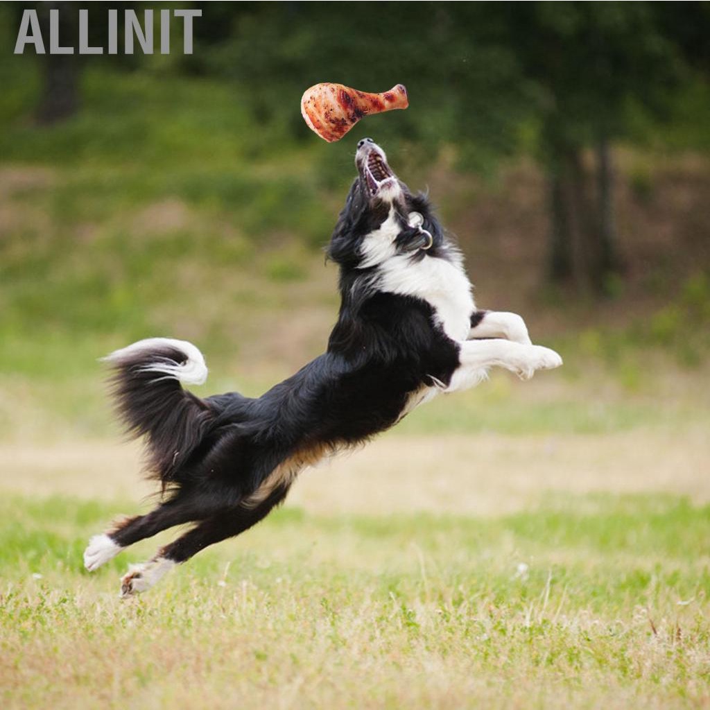 allinit-stuffed-pet-toy-interesting-shape-dog-bite-resistant-for-puppy