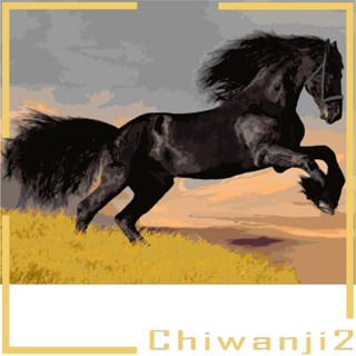 [Chiwanji2] ภาพวาดระบายสีตามตัวเลข บนผ้าใบ ขนาด 40x50 ซม. สําหรับผู้ใหญ่ ตกแต่งบ้าน ห้องนั่งเล่น