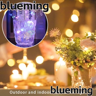 Blueming2 สายไฟ LED สําหรับตกแต่งงานแต่งงาน