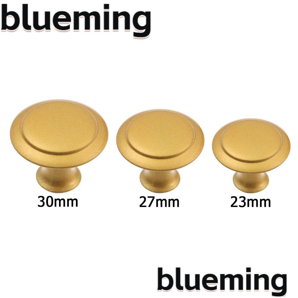 blueming2-มือจับประตูตู้เสื้อผ้า-เฟอร์นิเจอร์-แฟชั่น-2-ชิ้น-ต่อล็อต