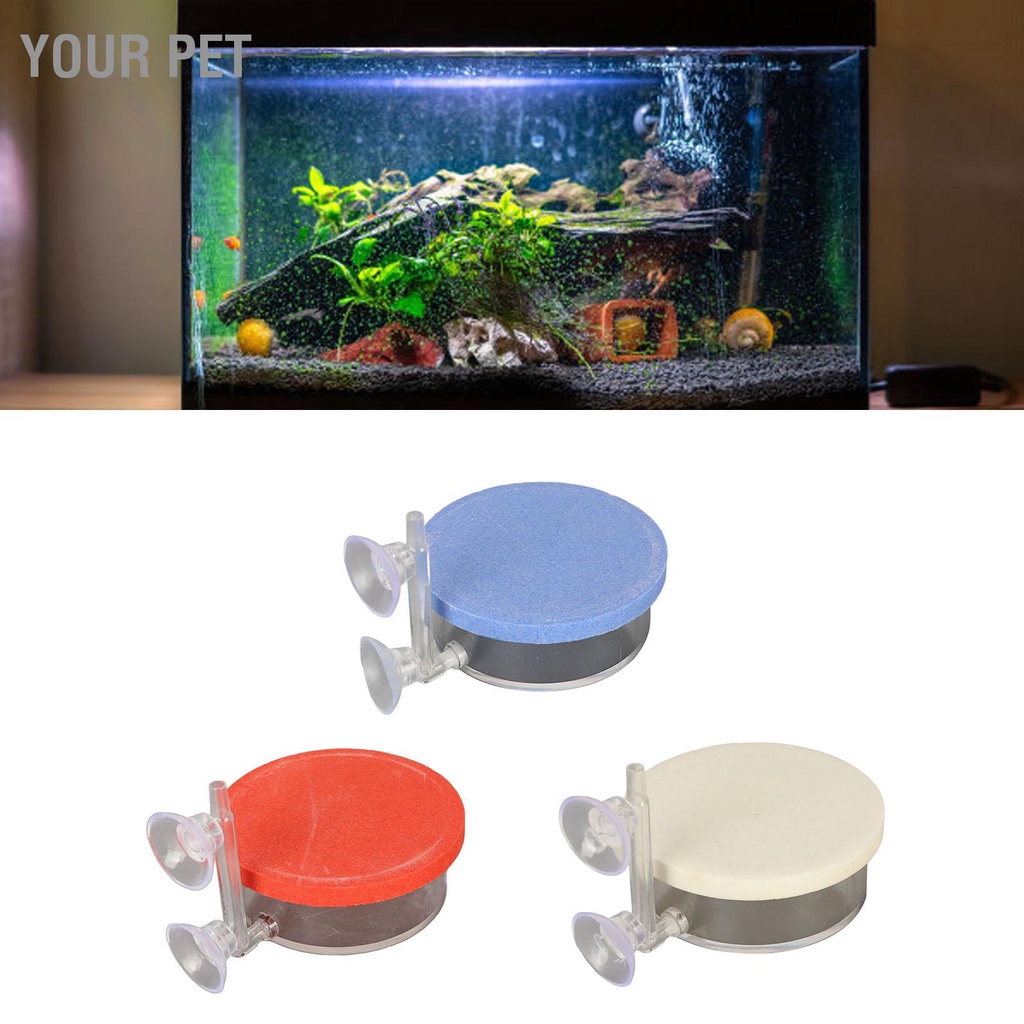 Your Pet Fish Tank Air Refiner Disc ความโปร่งใสสูง Quiet Dual ดูดถ้วย ...