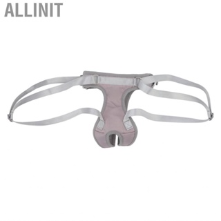 Allinit Split Auxiliary Portable Buckle Adjust Rear Leg Lifting Harness For Dog  TS
