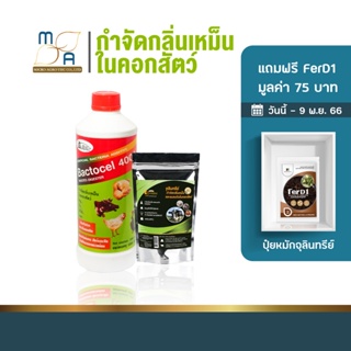 เซ็ตคู่ BACTOCEL 4001 + Bio Farm สำหรับคอกสัตว์ แบคโตเซล กลิ่นสัตว์ คอกสัตว์ น้ำยาดับกลิ่นเหม็นสัตว์ ย่อยปฏิกูล