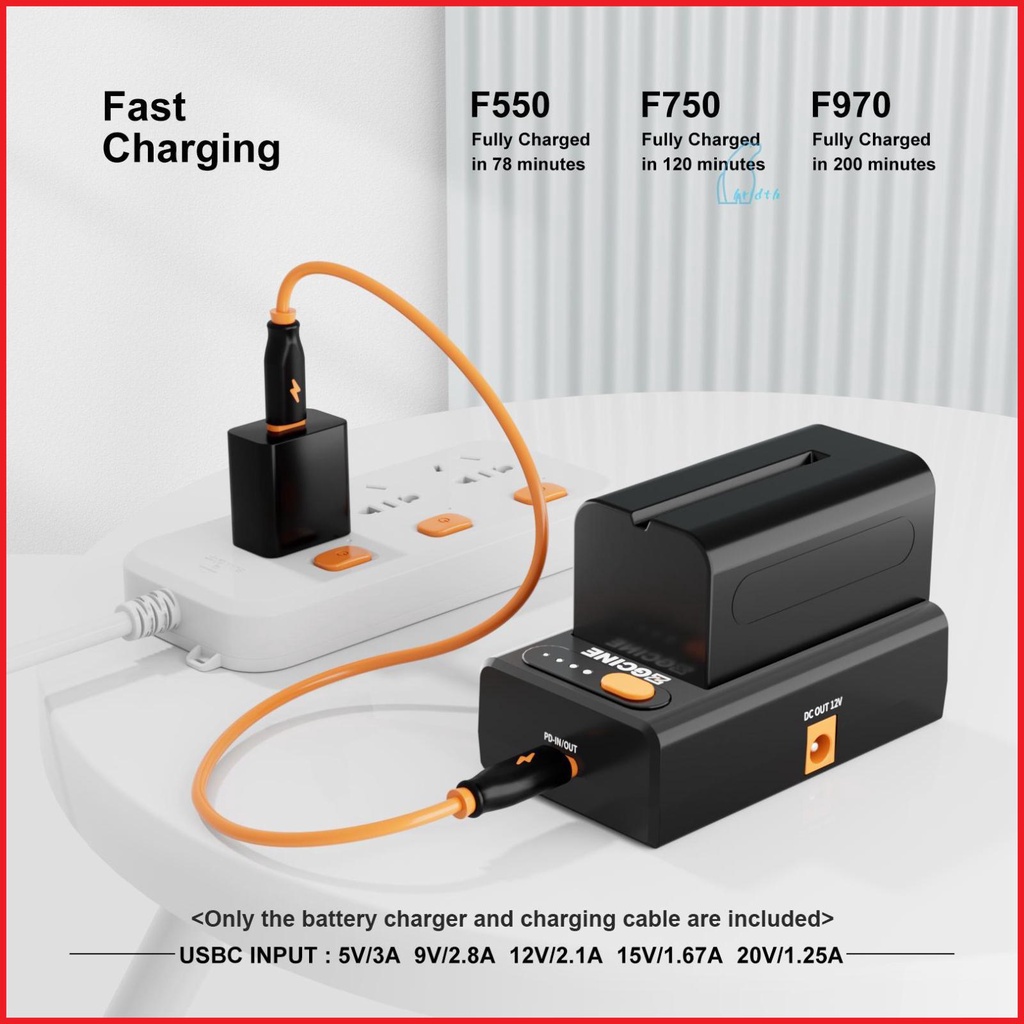 Caricabatteria ZGCINE NP-F Per Ingresso Tipo C A Ricarica