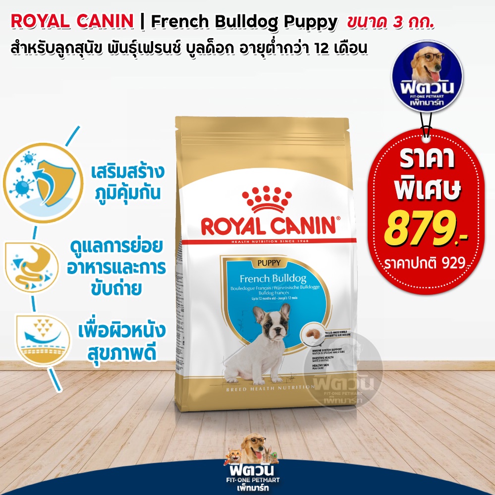 royal-canin-french-bulldogpuppy-ลูกสุนัข2-12เดือน-พันธุ์เฟรนซ์บูลด๊อก-3-กิโลกรัม