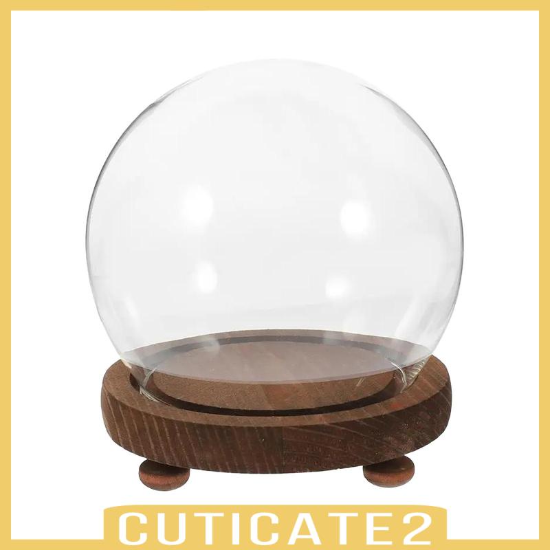 cuticate2-ฐานไม้เปล่า-แบบใส-สําหรับตกแต่งบ้าน-ห้องนั่งเล่น