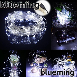 Blueming2 สายไฟ LED USB สําหรับตกแต่งปาร์ตี้