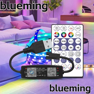 Blueming2 สายไฟ USB ควบคุมด้วยรีโมตคอนโทรล สําหรับตกแต่งบ้าน