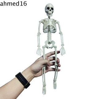 Ahmed โมเดลโครงกระดูกมนุษย์ 40 ซม. สําหรับตกแต่งภายในรถยนต์