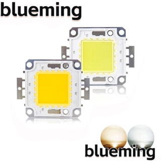 Blueming2 หลอดไฟสปอตไลท์ LED COB สีขาวอบอุ่น สําหรับฟลัดไลท์ DIY