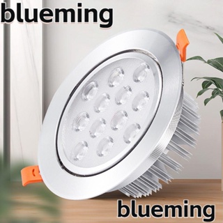 Blueming2 โคมไฟติดเพดาน LED หรี่แสงได้