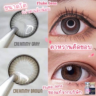 คอนแทคเลนส์ 🧁 Creammy Brown Gray 🧁 Gaezzsecret โตกว่าตาเล็กน้อย หวานตัดขอบดำ creamay ของแท้จากบริษัท Made in Korea 🇰🇷