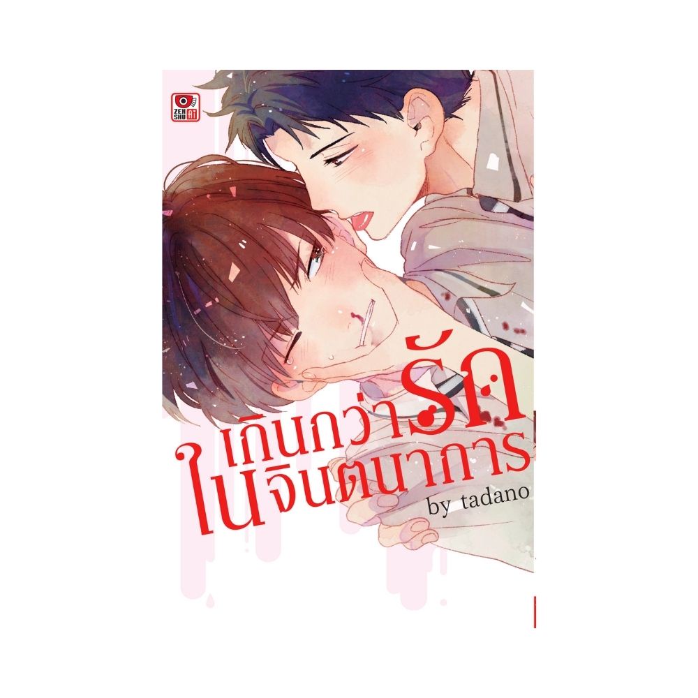 b2s-หนังสือ-เกินกว่ารักในจินตนาการ-เล่มเดียวจบ-mg