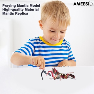 Ameesi โมเดลฟิกเกอร์แมลงอธิษฐาน 3D ของเล่นเสริมการเรียนรู้เด็ก DIY