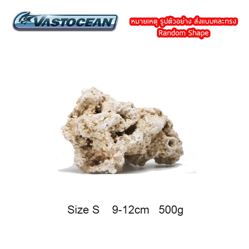 Vastocean DRY ROCK หินนำเข้าคัดเกรดทรงสวย สำหรับจัดตู้ปลาทะเล The Best ...